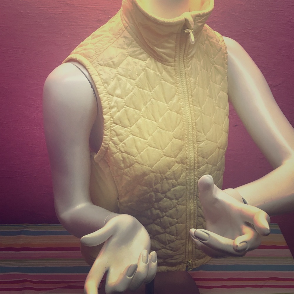 Winter Vest